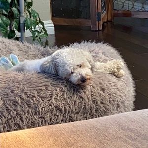 Meet your Posher, Laura